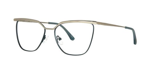 Optical frame TONNY 48467C2