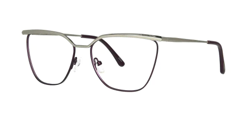 Optical frame TONNY 48467C3