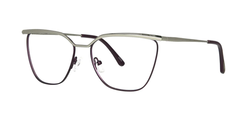 Optical frame TONNY 48467C3