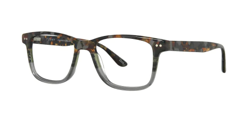 Optical frame TONNY 48471C1-CL