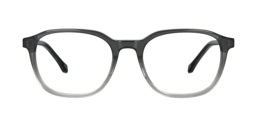 Optical frame TONNY 48451C1