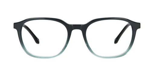 Optical frame TONNY 48451C2