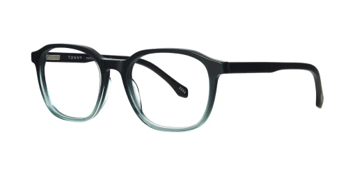 Optical frame TONNY 48451C2