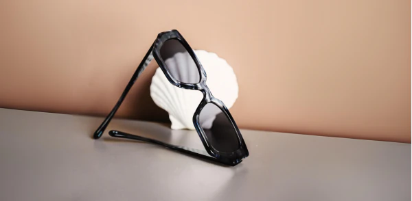 Sunglasses TONNY 44033C2