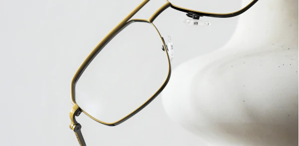 Optical frame TONNY 48436C3