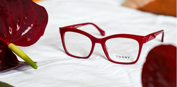 Optical frame TONNY 48393C4