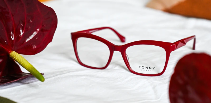 Optical frame TONNY 48393C4