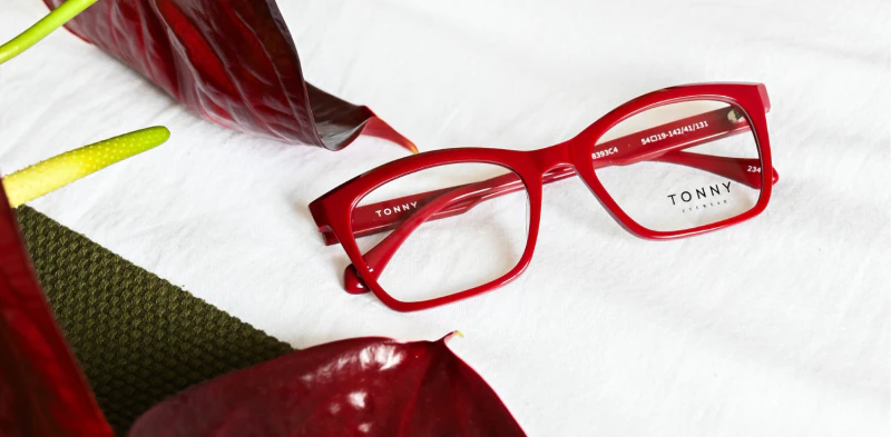 Optical frame TONNY 48393C4