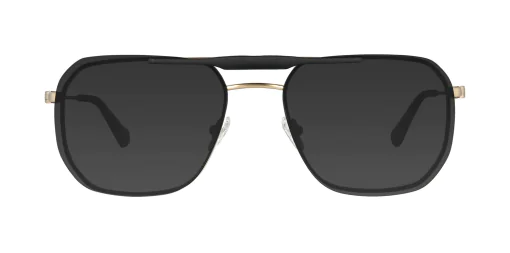 CLIP-ON sun cover 48430AC1