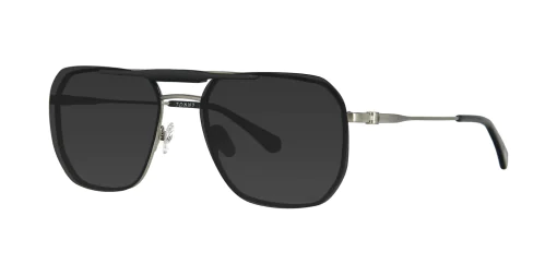 CLIP-ON sun cover 48430AC2