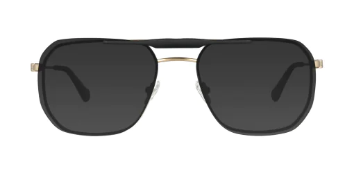 CLIP-ON sun cover 48430AC3