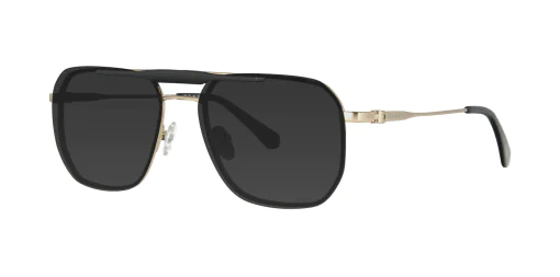 CLIP-ON sun cover 48430C1