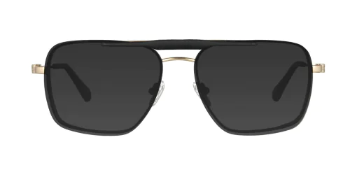 CLIP-ON sun cover 48435C2