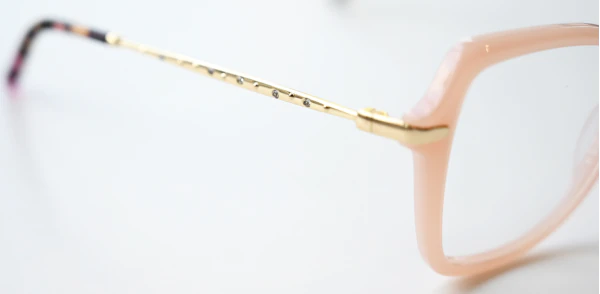 Optical frame TONNY 14034C4