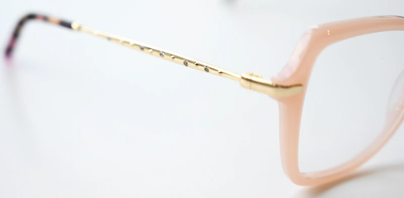 Optical frame TONNY 14034C4