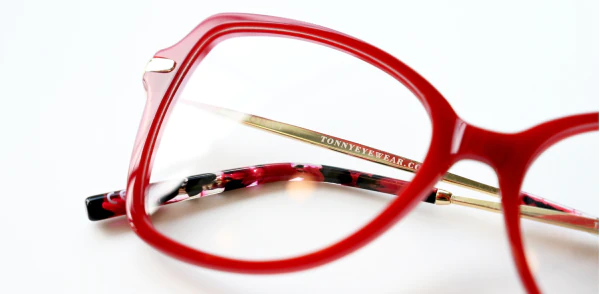 Optical frame TONNY 14034C2