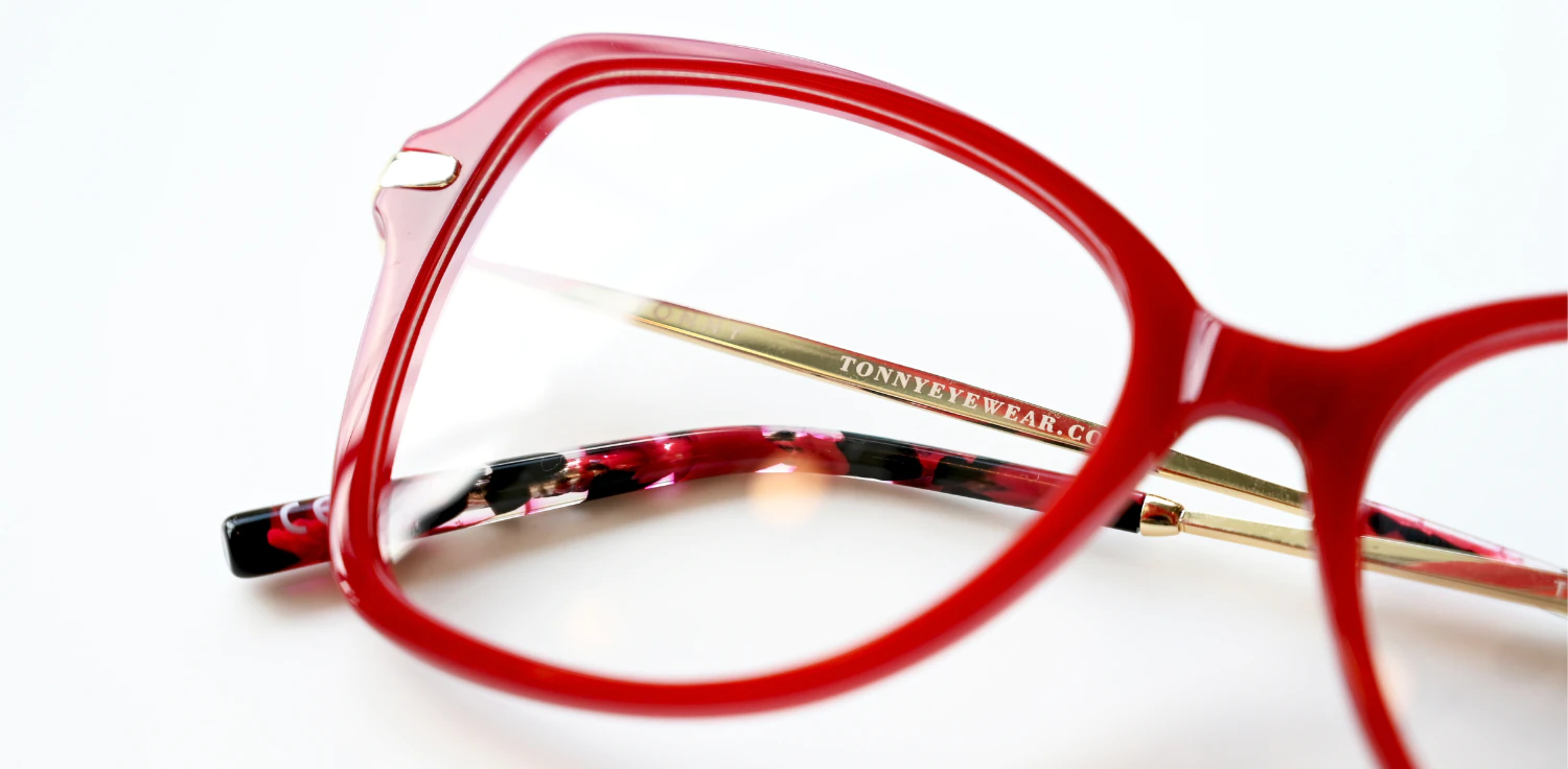 Optical frame TONNY 14034C2