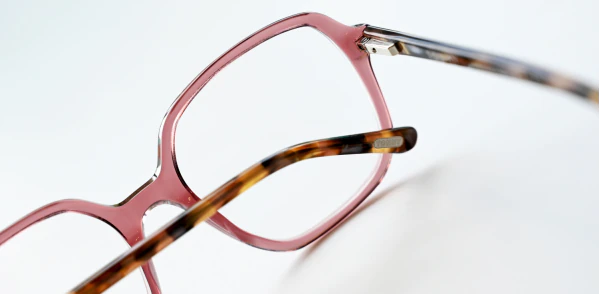 Optical frame TONNY 48459C2