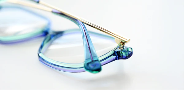 Optical frame TONNY 14028C3