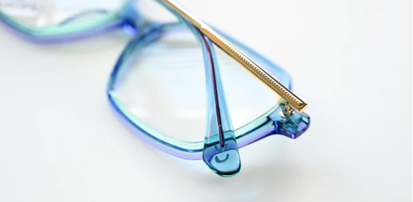 Optical frame TONNY 14028C3