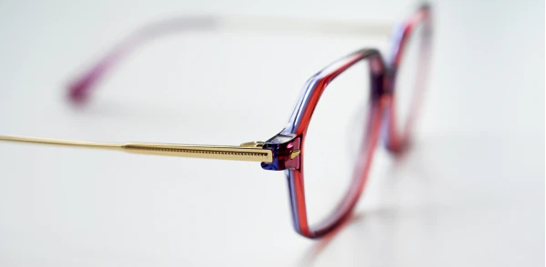 Optical frame TONNY 14028C2