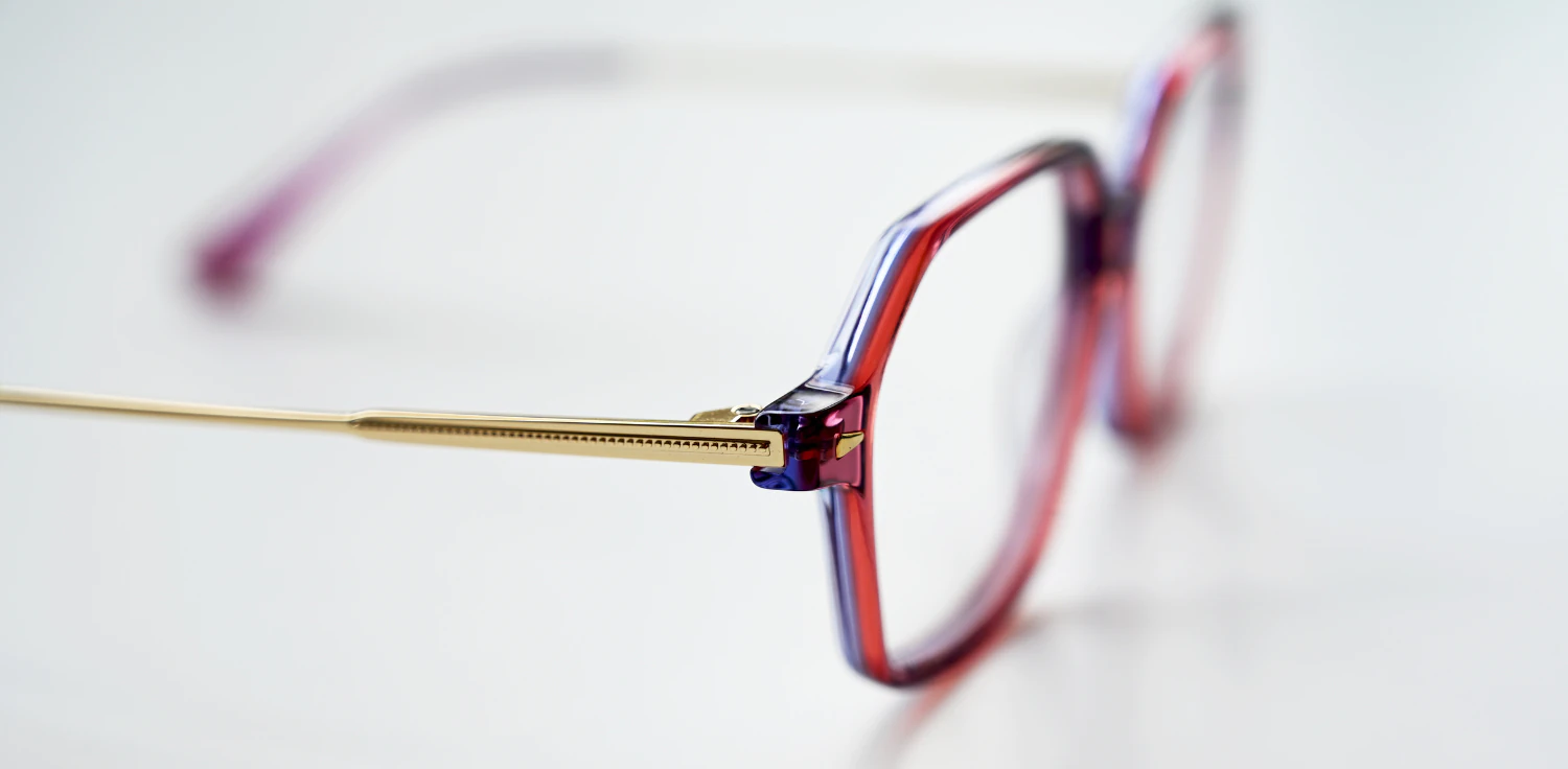 Optical frame TONNY 14028C2