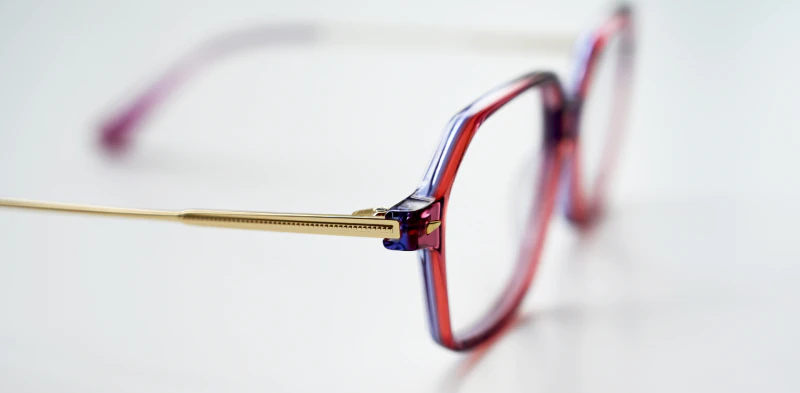 Optical frame TONNY 14028C2