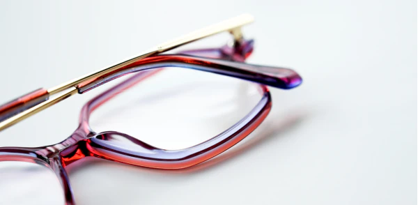 Optical frame TONNY 14028C2