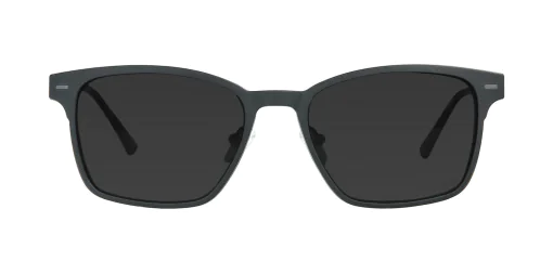 CLIP-ON sun cover 48362C1