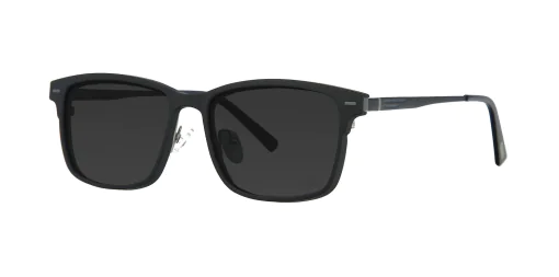 CLIP-ON sun cover 48363C4