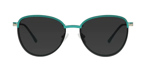 CLIP-ON sun cover 48380C1