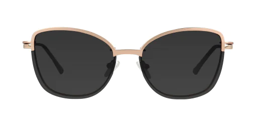 CLIP-ON sun cover 48382C1