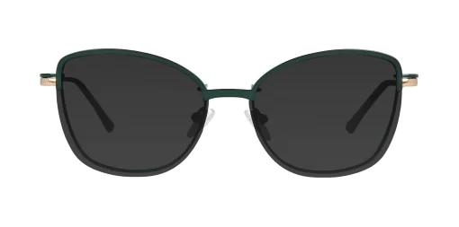 CLIP-ON sun cover 48382C2