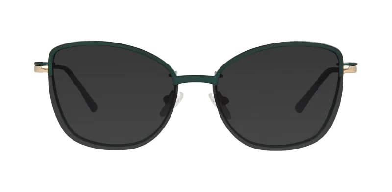 CLIP-ON sun cover 48382C2