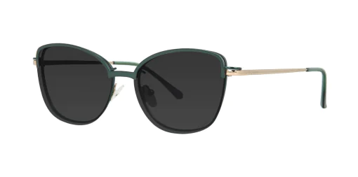 CLIP-ON sun cover 48382C2