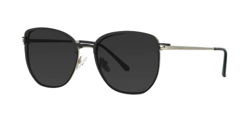 CLIP-ON sun cover 48387C1