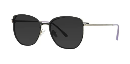 CLIP-ON sun cover 48387C2