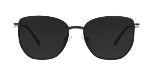 CLIP-ON sun cover 48387C3