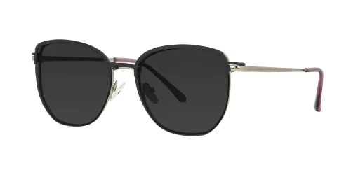 CLIP-ON sun cover 48387C3