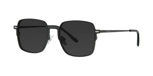 CLIP-ON sun covers SET 48391C1