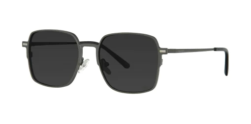 CLIP-ON sun covers SET 48391C3