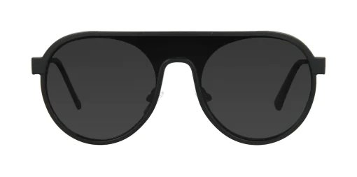 CLIP-ON sun cover 48359C2