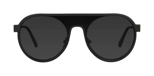 CLIP-ON sun cover 48359C3