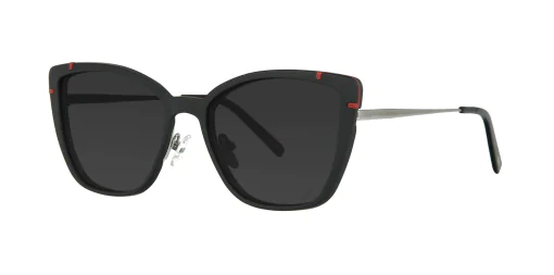 CLIP-ON sun cover 48361C3