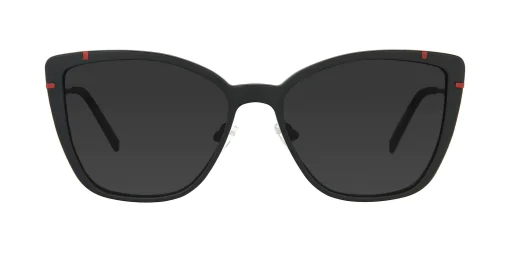 CLIP-ON sun cover 48361C4