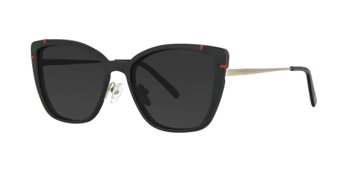 CLIP-ON sun cover 48361C4