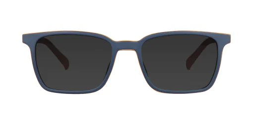 CLIP-ON sun cover 48376C1