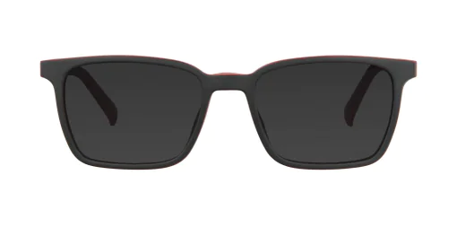 CLIP-ON sun cover 48376C3