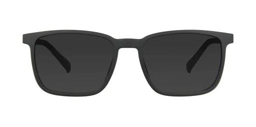 CLIP-ON sun cover 48377C2