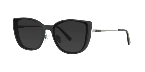 CLIP-ON sun cover 48381C1